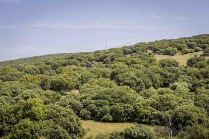 La zona cuenta con nuevas infraestructuras para el riego