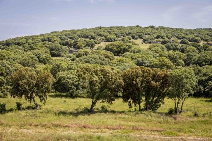 La zona cuenta con nuevas infraestructuras para el riego