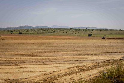 La zona cuenta con nuevas infraestructuras para el riego