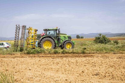 La zona cuenta con nuevas infraestructuras para el riego