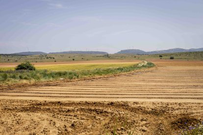 La zona cuenta con nuevas infraestructuras para el riego