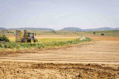 La zona cuenta con nuevas infraestructuras para el riego