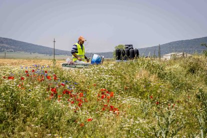 La zona cuenta con nuevas infraestructuras para el riego