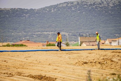 La zona cuenta con nuevas infraestructuras para el riego