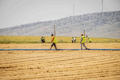 La zona cuenta con nuevas infraestructuras para el riego