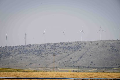 La zona cuenta con nuevas infraestructuras para el riego