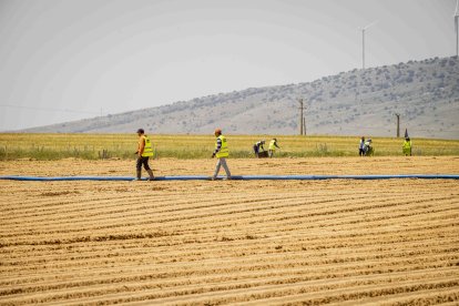 La zona cuenta con nuevas infraestructuras para el riego