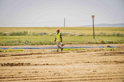 La zona cuenta con nuevas infraestructuras para el riego