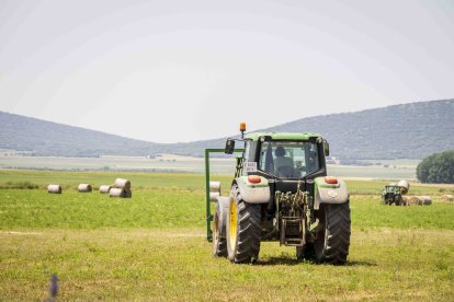 La zona cuenta con nuevas infraestructuras para el riego