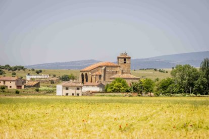 La zona cuenta con nuevas infraestructuras para el riego