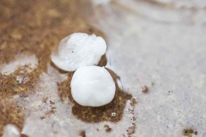 Bolitas de granizo.