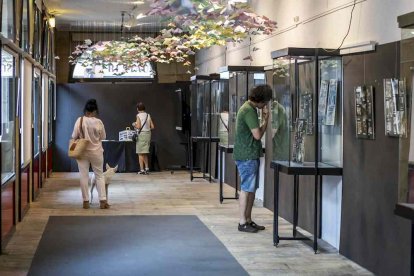 Una galería para recordar las fiestas de San Juan