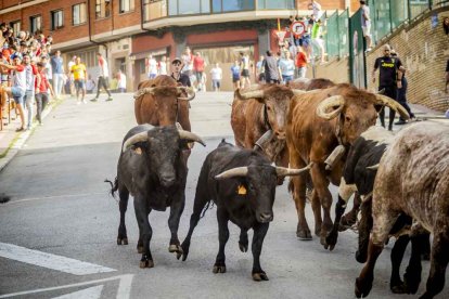 Una jornada muy taurina para anticipar las Fiestas de San Juan