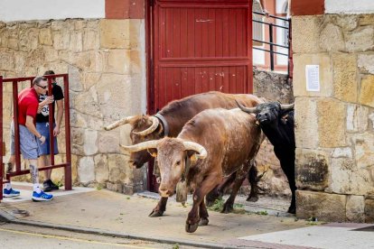Una jornada muy taurina para anticipar las Fiestas de San Juan