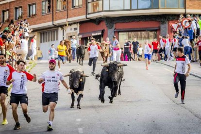 Una jornada muy taurina para anticipar las Fiestas de San Juan