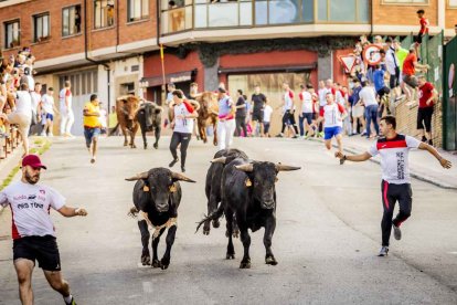 Una jornada muy taurina para anticipar las Fiestas de San Juan