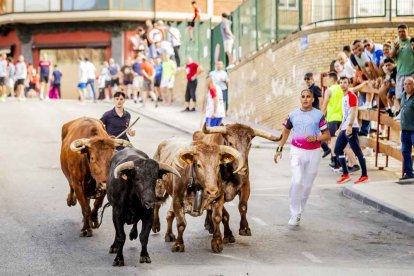 Una jornada muy taurina para anticipar las Fiestas de San Juan