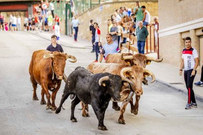 Una jornada muy taurina para anticipar las Fiestas de San Juan
