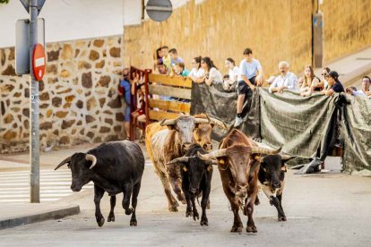 Una jornada muy taurina para anticipar las Fiestas de San Juan