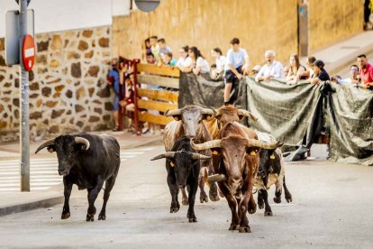 Una jornada muy taurina para anticipar las Fiestas de San Juan