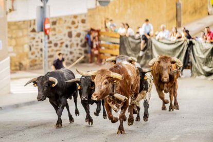 Una jornada muy taurina para anticipar las Fiestas de San Juan