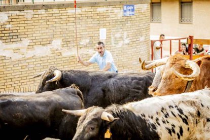 Una jornada muy taurina para anticipar las Fiestas de San Juan