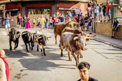 Una jornada muy taurina para anticipar las Fiestas de San Juan
