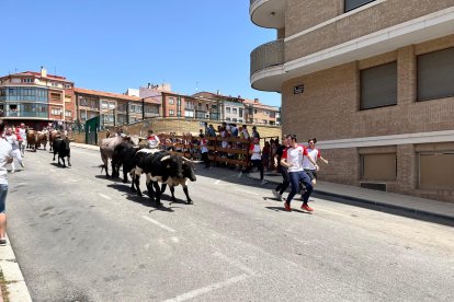 Una jornada muy taurina para anticipar las Fiestas de San Juan