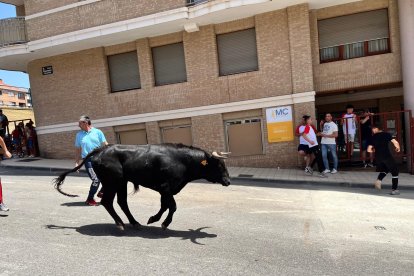 Una jornada muy taurina para anticipar las Fiestas de San Juan