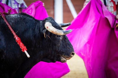 Inicia la Feria Taurina de San Juan con los rejones como protagonistas.