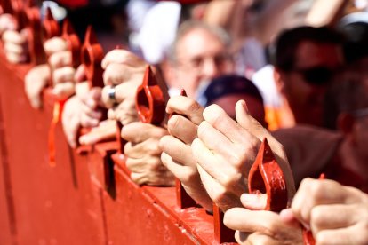 Imágenes de la jornada del Jueves La Saca, día grande de las Fiestas de San Juan