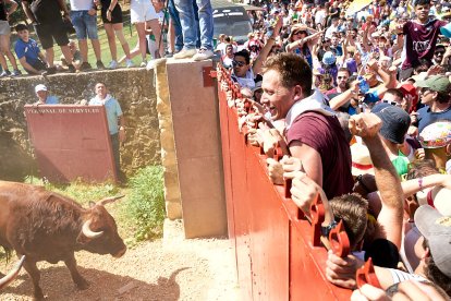 Imágenes de la jornada del Jueves La Saca, día grande de las Fiestas de San Juan