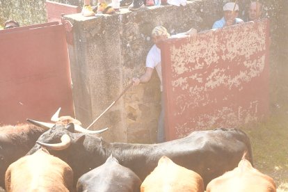 Imágenes de la jornada del Jueves La Saca, día grande de las Fiestas de San Juan