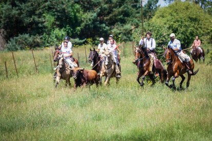 Imágenes de la jornada del Jueves La Saca, día grande de las Fiestas de San Juan