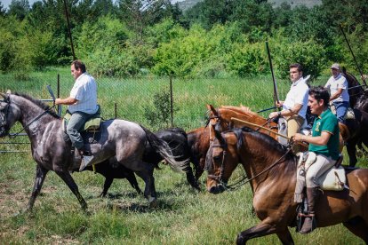 Imágenes de la jornada del Jueves La Saca, día grande de las Fiestas de San Juan