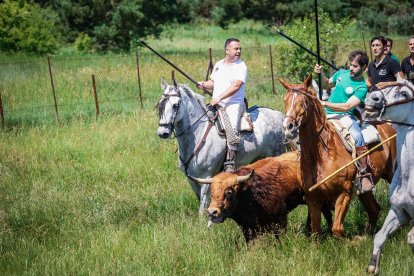 Imágenes de la jornada del Jueves La Saca, día grande de las Fiestas de San Juan