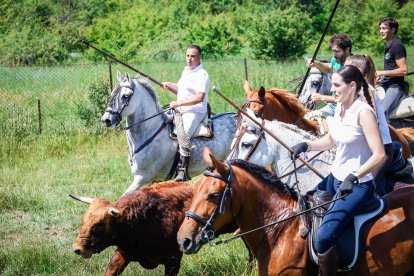 Imágenes de la jornada del Jueves La Saca, día grande de las Fiestas de San Juan