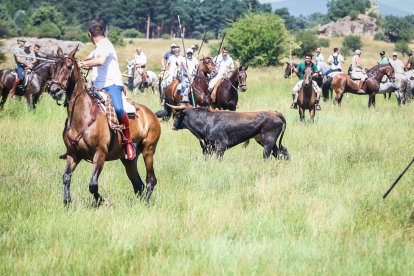 Imágenes de la jornada del Jueves La Saca, día grande de las Fiestas de San Juan