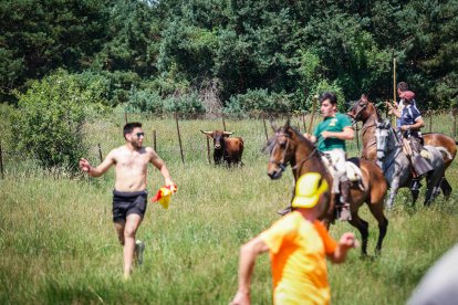 Imágenes de la jornada del Jueves La Saca, día grande de las Fiestas de San Juan