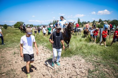 Imágenes de la jornada del Jueves La Saca, día grande de las Fiestas de San Juan