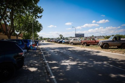 Imágenes de la jornada del Jueves La Saca, día grande de las Fiestas de San Juan