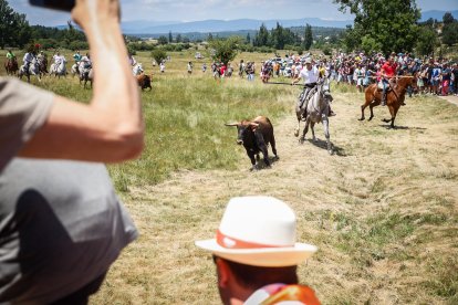 Imágenes de la jornada del Jueves La Saca, día grande de las Fiestas de San Juan