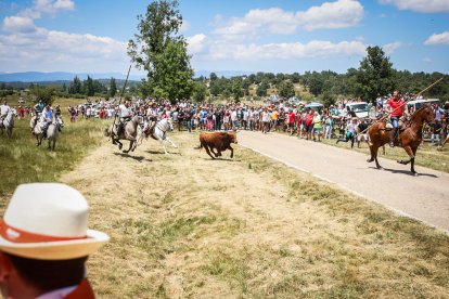 Imágenes de la jornada del Jueves La Saca, día grande de las Fiestas de San Juan