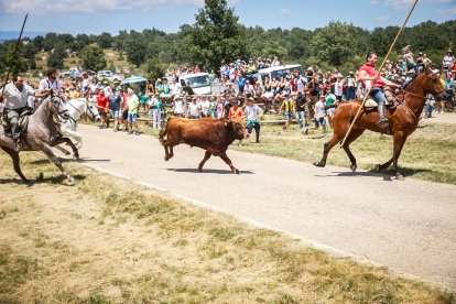 Imágenes de la jornada del Jueves La Saca, día grande de las Fiestas de San Juan