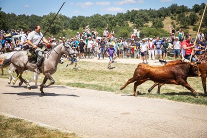 Imágenes de la jornada del Jueves La Saca, día grande de las Fiestas de San Juan