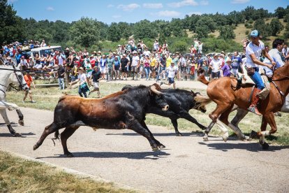 Imágenes de la jornada del Jueves La Saca, día grande de las Fiestas de San Juan