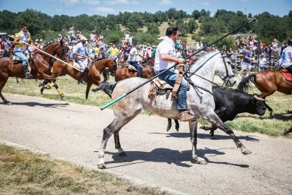 Imágenes de la jornada del Jueves La Saca, día grande de las Fiestas de San Juan