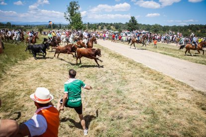 Imágenes de la jornada del Jueves La Saca, día grande de las Fiestas de San Juan