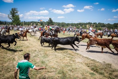 Imágenes de la jornada del Jueves La Saca, día grande de las Fiestas de San Juan