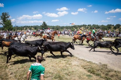Imágenes de la jornada del Jueves La Saca, día grande de las Fiestas de San Juan